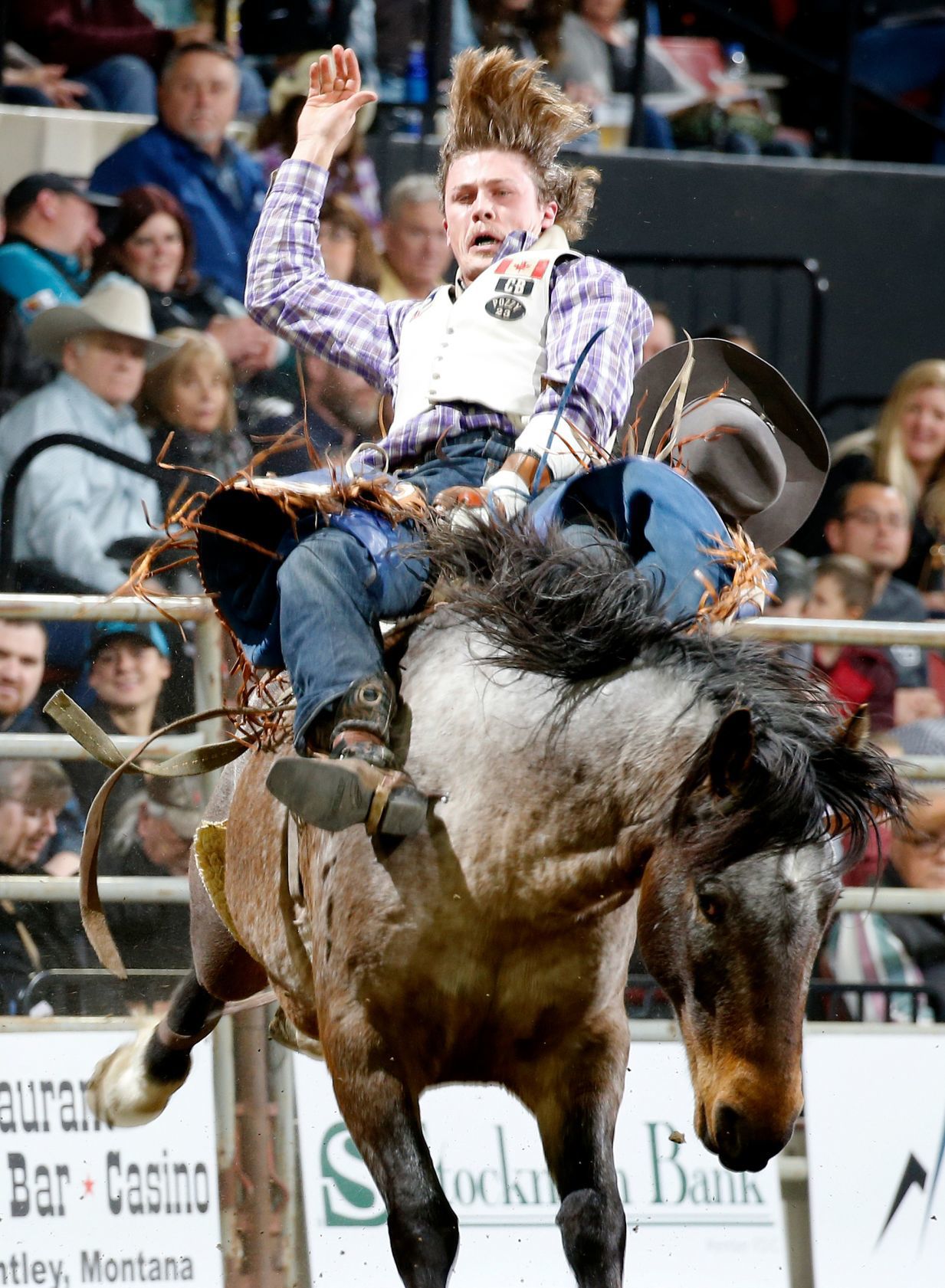 Chase Hawks rodeo